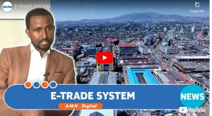 Read more about the article E-trade system