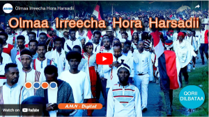 Read more about the article Olmaa Irreecha Hora Harsadii