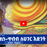 Read more about the article ኪነ-ጥበብ ለሀገር እድገት