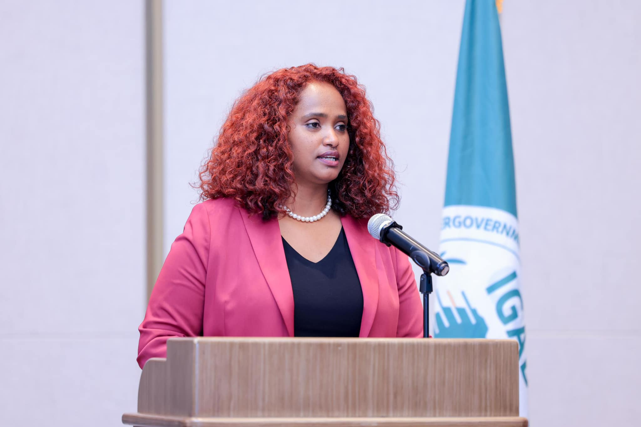 Read more about the article በቀጣናው ያለውን የቱሪዝም እንቅስቃሴ ለማሳደግ ከኢጋድ አባል ሀገራት ጋር በትብብር ለመስራት ኢትዮጵያ ቁርጠኛ ናት፡- አምባሳደር ናሲሴ ጫሊ